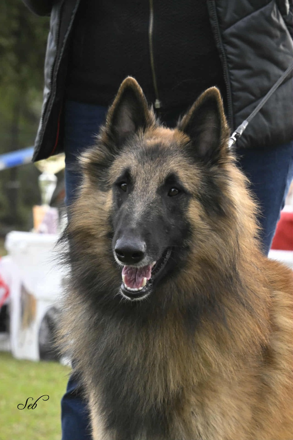 Van cleef de l'Orée du val d'enfer