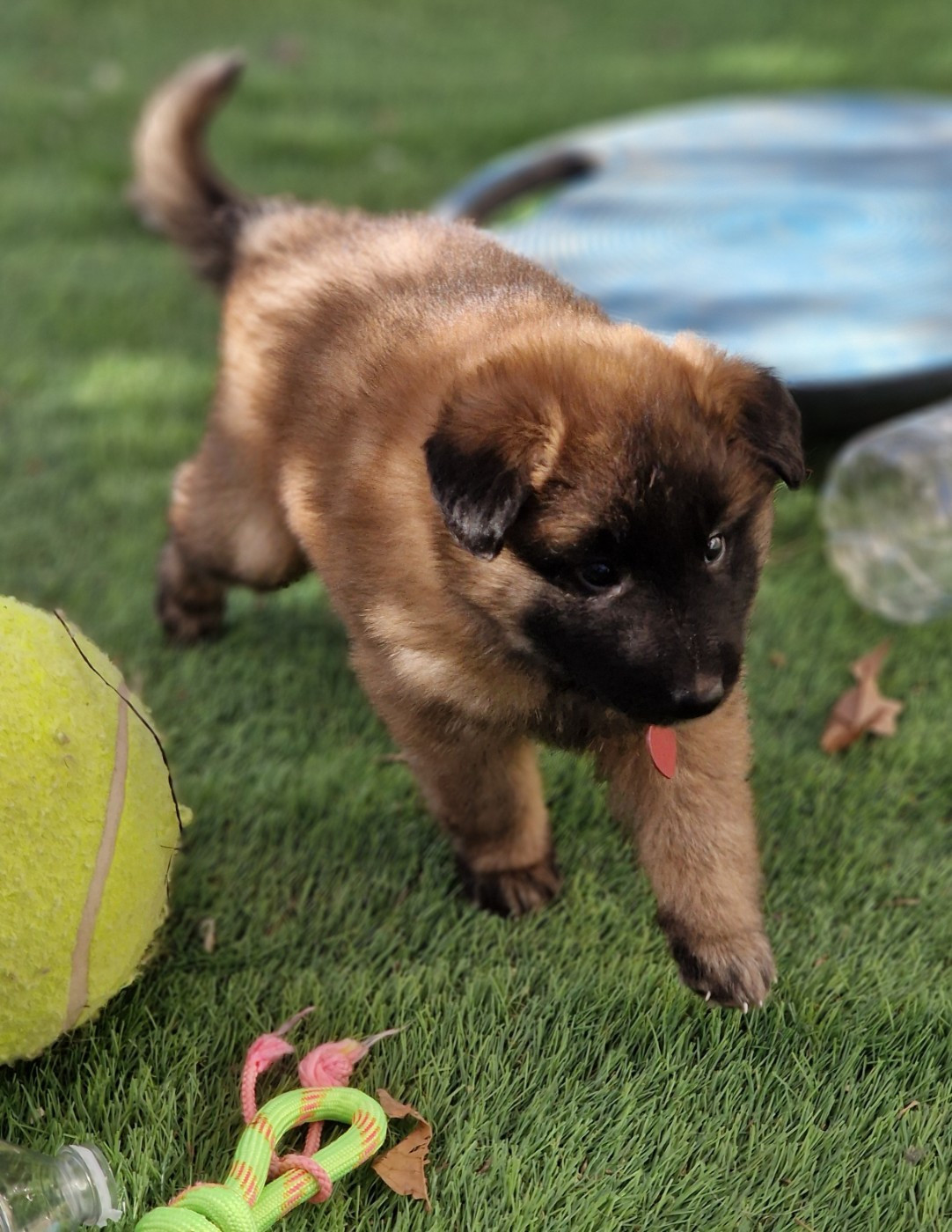 Mise à jour le 7 janvier 2026